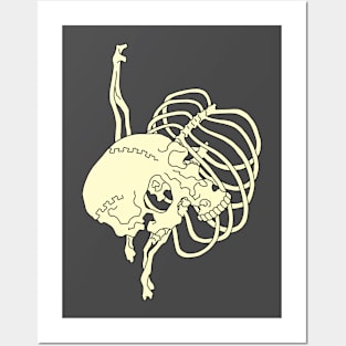 Skull Rib Cage Macabre Posters and Art